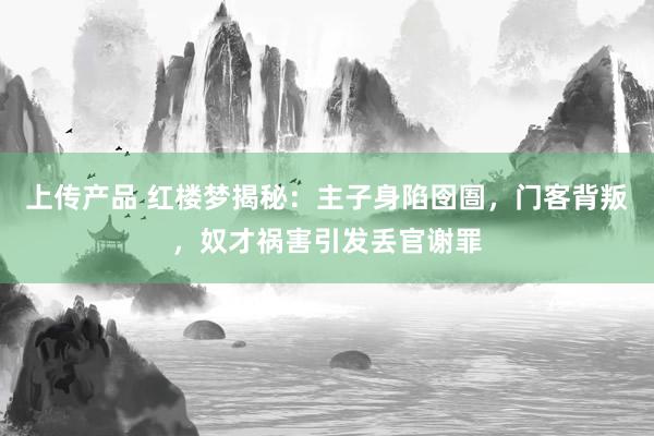 上传产品 红楼梦揭秘：主子身陷囹圄，门客背叛，奴才祸害引发丢官谢罪